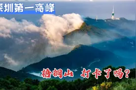 深圳地铁8号线已开通，最方便的是爬梧桐山了，赶紧行动起来哦。视频封面