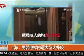 疯狂！男婴电梯内遭大型犬扑咬，据悉咬人的狗办过狗证视频封面