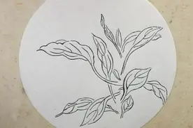 零基础花鸟画，鸡冠花叶子的画法，一步一步细讲视频封面