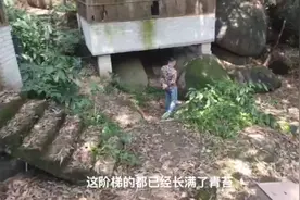 讲诉我们身边的故事:最年轻的百万富翁到一无所有开车维持生计视频封面