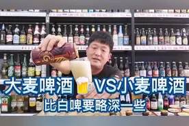 德国进口🇩🇪布鲁斯堡小麦啤酒VS大麦啤酒