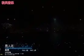 《男人花》肩上扛着山也要装的很潇洒这就是我们过了三十岁的男人