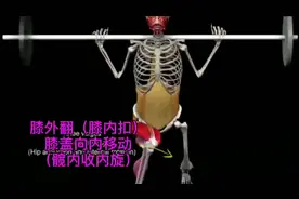 动画演示膝关节内扣的四大因素