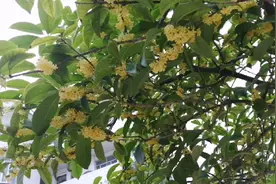 多年以后回到学校听着《逆爱》又想想自己的经历，是感怀是悲喜