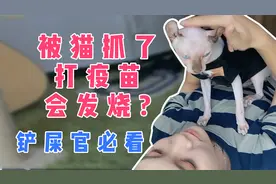 接种狂犬疫苗会发烧？应该怎么处理皮皮告诉你