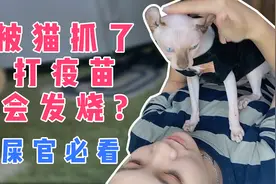 接种狂犬疫苗会发烧？应该怎么处理皮皮告诉你视频封面