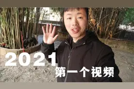 从第一次拍狗狗至今正好一年，它们依然还在