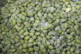 如何熬出饭店那样浓稠的绿豆粥？大厨教的秘制方法，10分钟就开花视频封面