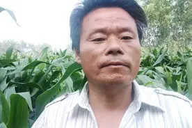 种植农作物，尿素加上它，既提高肥效，还能节约尿素70%你用过吗视频封面