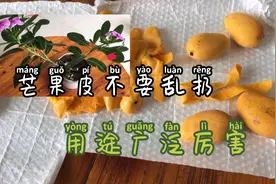 芒果皮不要乱扔、这些妙用太神奇了、赶快收藏起来吧。视频封面