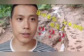 成都暴雨前，河水疑被人深夜放干抓鱼，老爸却说：放得好，咋回事视频封面