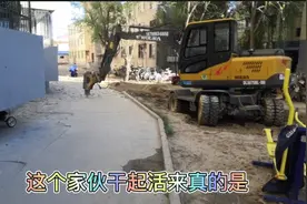 每天早上睡觉被这个家伙吵醒，忍受不了！这要持续多久，奔溃边缘视频封面