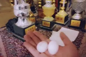 这小伙子疯了！2000块钱买了两个鸽子蛋！视频封面