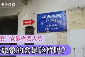 走进合肥红星路，安徽省委大院，你想象中省委大院是这样的吗？