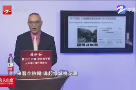 绿城桃花源别墅刚刚4130万成交，原房主背后的故事叫人警醒