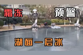 四川绵阳今天霜冻蓝色预警，到处都结冰了，起床冷得跳！视频封面