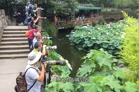 成都悠闲之地，少不入川老不出蜀又有了新的含意视频封面