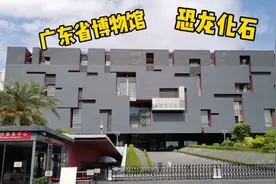 广东省博物馆：一座唯一有恐龙化石的藏馆，快来看吧