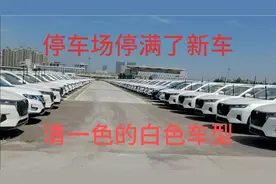 郑州经开区东风启辰生产基地，占地面积很大，停车场内停满了新车视频封面