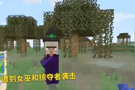 我的世界1.14第44期：我跟随猫咪，到达女巫小屋，遭到掠夺者偷袭