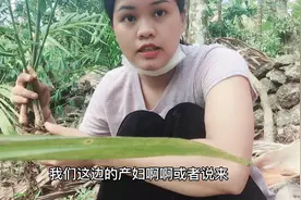 羊山特产之本地小黄姜 散发原始生态味道 一片姜香可缓解疲劳视频封面