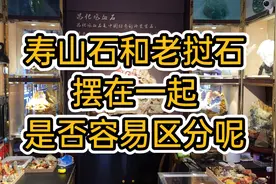 寿山石和老挝石，让玩家难分难辨，两种石头放在一起你看的出来吗视频封面