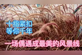 李文静的一曲《谢谢你来到我身边》太好听了，听醉了无数人的心视频封面