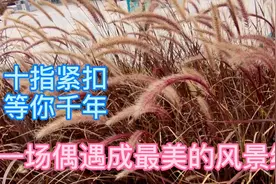 李文静的一曲《谢谢你来到我身边》太好听了，听醉了无数人的心视频封面