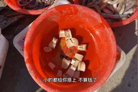 山东青岛，论个卖的海鲜，营养堪比海参鲍鱼，一块钱就能买一个视频封面