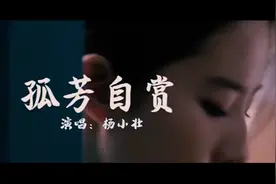 《孤芳自赏》杨小壮壮每当黑夜来临的时候我总很狼狈。视频封面