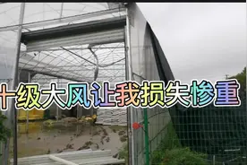 上海阵风十级威力有多大？钢管都被吹弯了，卷帘门就跟纸一样。视频封面