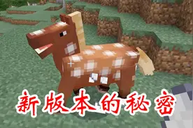 我的世界：新版本的秘密，MC冷知识！有一种矿石你永远挖不到！