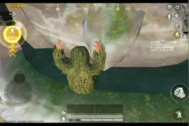 教你如何爬上特训岛三只小鸡的三级头里！