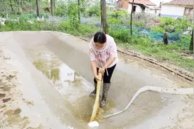 公爹给鹅建的水池脏了，儿媳一大早拉老公来清洗，全是鹅粪咋清理