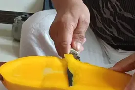 云南西双版纳大芒果的新吃法