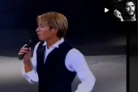 刘德华演唱会，经典中分黄头发