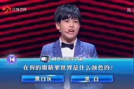 一站到底：在狗的眼睛里世界是什么颜色的？视频封面