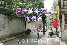 西安的巷子有意思，名字都有历史渊源，这个巷子曾是宫里的娑罗园视频封面