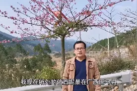 靠山吃山，看广西小伙是如何挖野生蜂蜜来补贴家用的视频封面