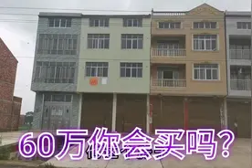 湖北省，监利市，汪桥镇莲台乡，瞿林公路，农村现房便宜卖