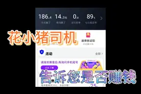 在花小猪上赚钱，是否赚钱，我来告诉您视频封面