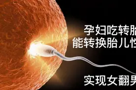 孕妇吃转胎药，能转换胎儿性别，实现女翻男？视频封面