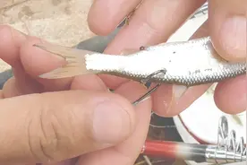 水库野钓白条太多？小伙拿白条挂钩做饵专钓黑鱼，精准打黑！视频封面