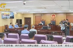 广西：自治区人民医院原院长张法灿一审获刑13年视频封面