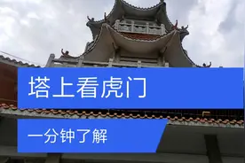 最高处俯看虎门