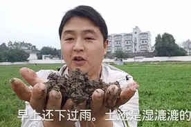 四川种植技术员，这块土地1300块钱一亩每年，租来种果树都能挣钱视频封面