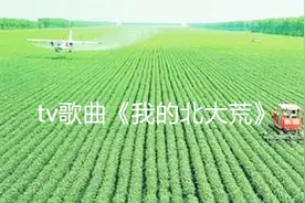 原创tv歌曲《我的北大荒》展示北大荒沃野千里的稻香蛙鸣 美景视频封面