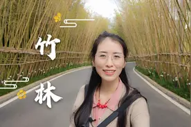 这条别具匠心的竹林路，蜿蜒曲折翠竹成荫，成为昆明拍照打卡胜地视频封面