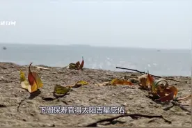 钱财插翅难飞，3生肖左手捧金，右手抓银，今后钱想怎么花怎么花视频封面