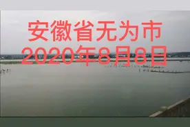 安徽省芜湖市无为县风光，2020年8月8日拍摄于无为高铁沿线。视频封面